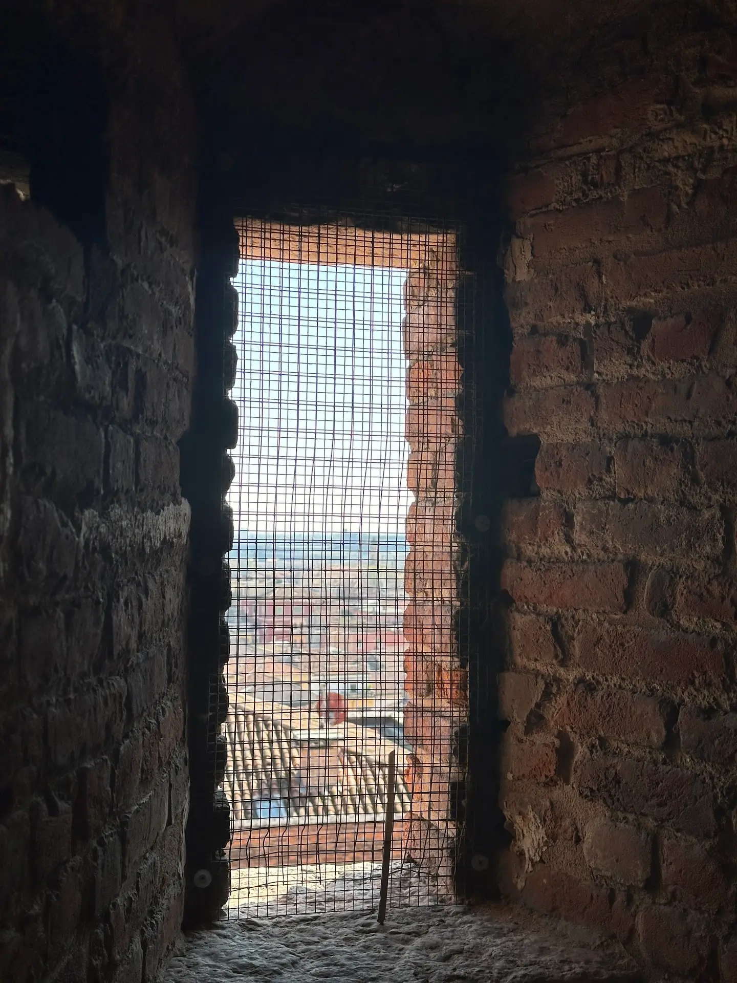 Mesh barrier window inside Torre dei Lamberti tower showing partial view of Verona rooftops.