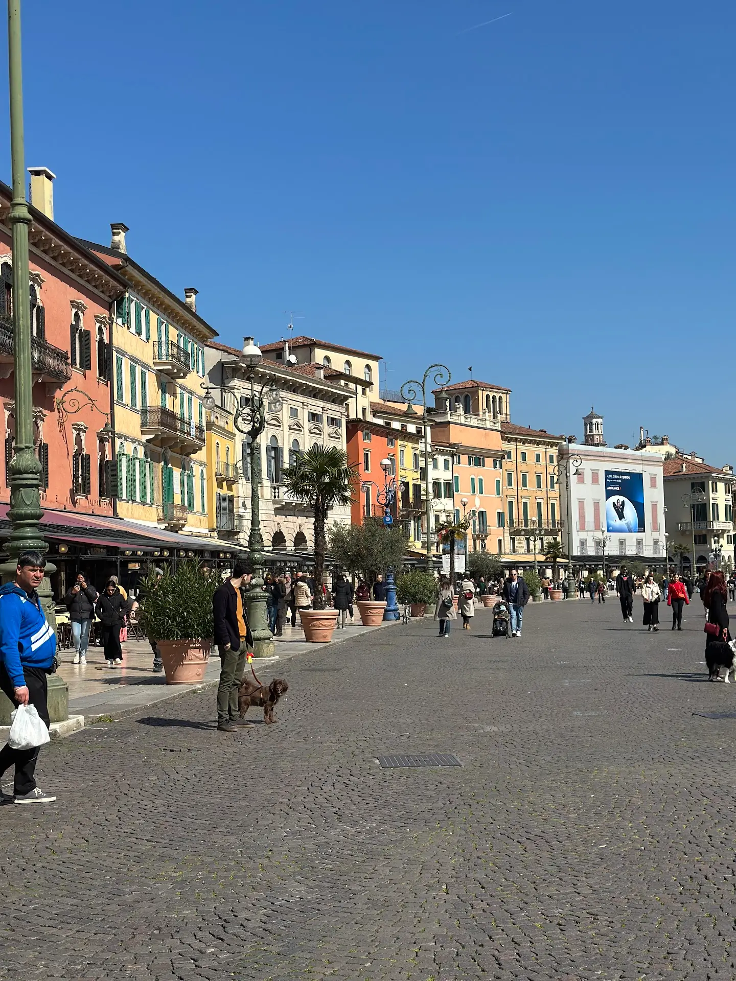 Best Time to Visit Verona, Piazza Bra with colorful historic buildings, outdoor cafes, and people walking under a clear blue sky